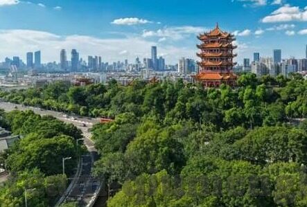 探求足球比分-探求足球比分背后的奥秘，一场数据与激情的交响曲